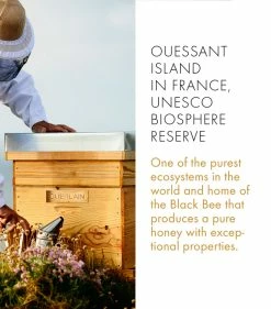 Guerlain Abeille Royale Eye R Repair Serum (20ml) Serums -Lancôme Fashion Store guerlain abeille royale eye r repair serum 20ml 16459846 31887572 1000