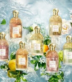 Guerlain Aqua Allegoria Orange Soleia Eau de Toilette (75ml) Womens Perfume -Lancôme Fashion Store guerlain aqua allegoria orange soleia eau de toilette 75ml 15453395 27268916 1000