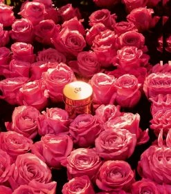 Lancôme Absolue Soft Cream (60ml) Brightening Creams 10 Lancôme Absolue Soft Cream (60ml) Brightening Creams -Lancôme Fashion Store lancome absolue soft cream 60ml 15067753 25942768 1000