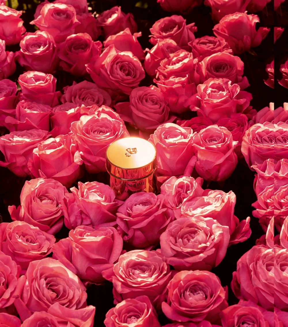 Lancôme Absolue Soft Cream (60ml) Brightening Creams 6 Lancôme Absolue Soft Cream (60ml) Brightening Creams - Image 4