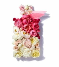 Lancôme LANC LVEB EN ROSE EDT 50ML 19 Womens Perfume -Lancôme Fashion Store lancome lanc lveb en rose edt 50ml 19 15676501 28530147 1000