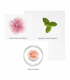 Lancôme LANC MASQUE GELEE HYDRA ZEN 100ML 18 Face Masks & Treatments -Lancôme Fashion Store lancome lanc masque gelee hydra zen 100ml 18 15067787 25942608 1000